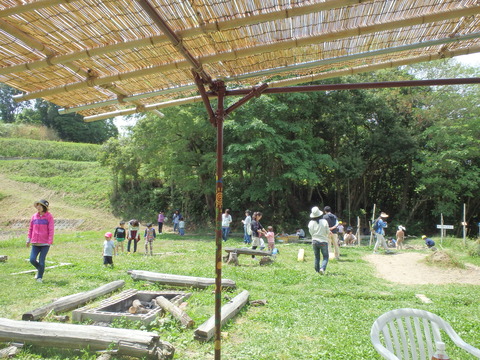 P5070138