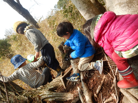DSCN5073