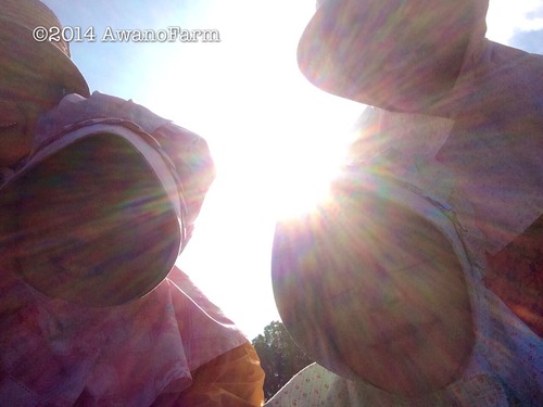 2014-09-15-19-14-39