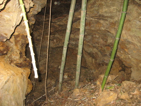 本坑坑口2