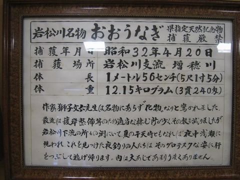 �礦�ʤ�������
