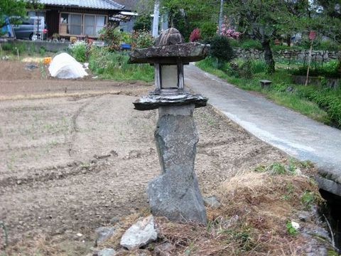 菅田常夜灯E