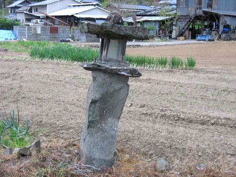菅田常夜灯C