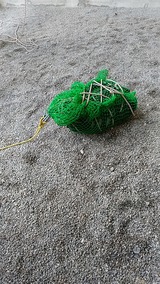 IMG_20181014_134556