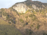 DSCF1786