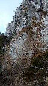 IMG_20180317_164737