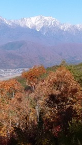 雪をかぶった山