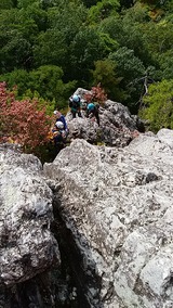 IMG_20180923_100359