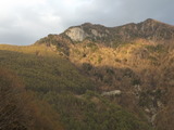 DSCF1783