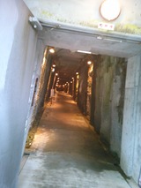 KIMG1223