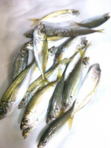 KIMG1835