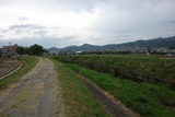 DSC01603