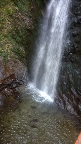 KIMG0775