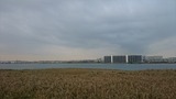 DSC_0459