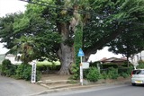 DSC01630