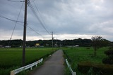 01093_R