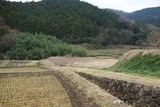 DSC01010