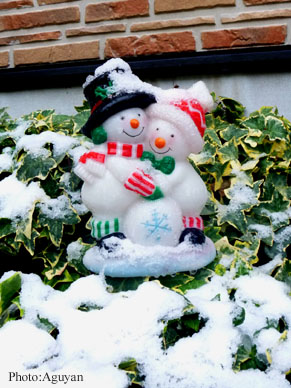 snow2011