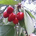 Pht0513134222.jpg