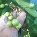 Pht0425172052.jpg