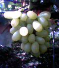 040912_095842.jpg