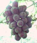040906_083359.jpg