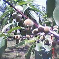 Pht0511102156.jpg