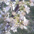 Pht0403145825.jpg
