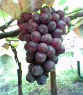 040905_130609.jpg
