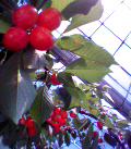040526_094358.jpg