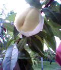 040628_182452.jpg