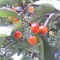 Pht0518143152.jpg