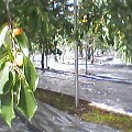 Pht0517135150.jpg