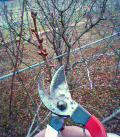 050209_162137.jpg