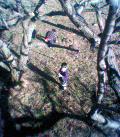 050110_143545.jpg