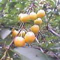 Pht0518143216.jpg