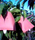 050525_174603.jpg