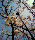 050410_093513.jpg
