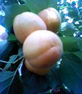050612_083416.jpg