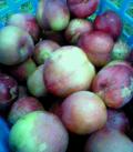 050628_175819.jpg