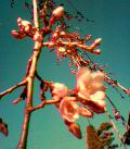050327_081613.jpg