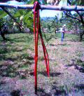 050510_090636.jpg