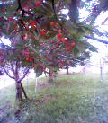 050622_173858.jpg