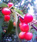 050528_065217.jpg