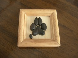 kuropaw