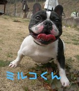 milko