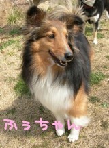 fuchan