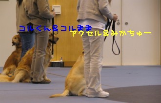 GCT Îý½¬3 Heel position