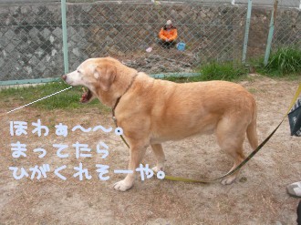 akubi