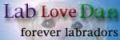 lablovedan